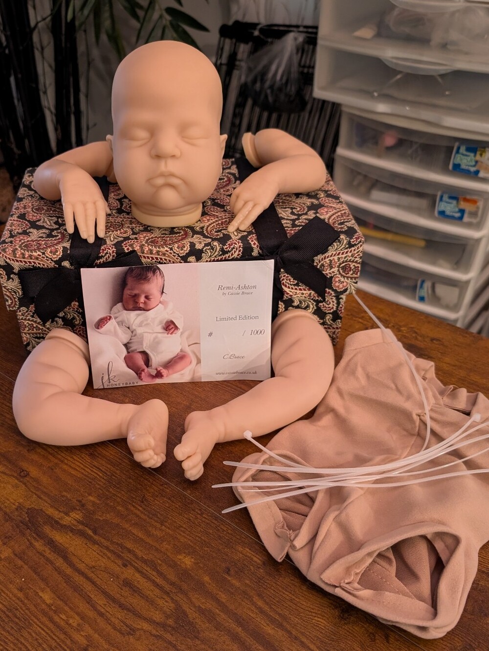 Reborn Remi Ashton KIT